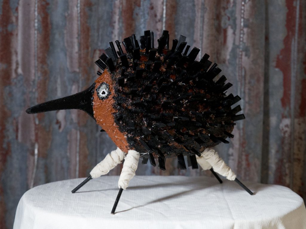 Echidna